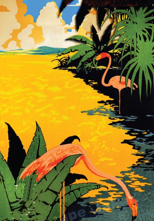 Flamingo A Go Go  36